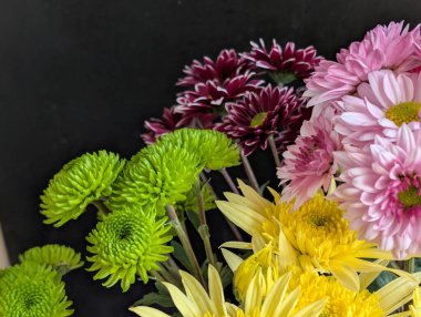 Bahçe çiçeklerinin koyu arkaplanda açtığı Macro çekimi. 