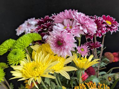 Koyu arkaplanda renkli kasımpatı çiçeklerini kapat 