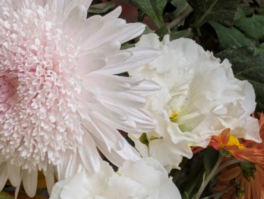 Yeşil yaprakların arasında pembe ve beyaz çiçeklerin yakın çekimi