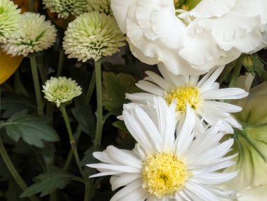 Beyaz papatyalar ve çeşitli renklerde çiçekler.