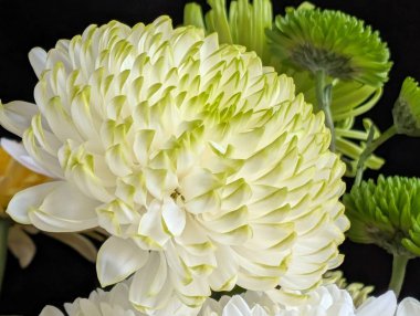 Beyaz ve yeşil çiçekleri birbirine güzelce yerleştirin.