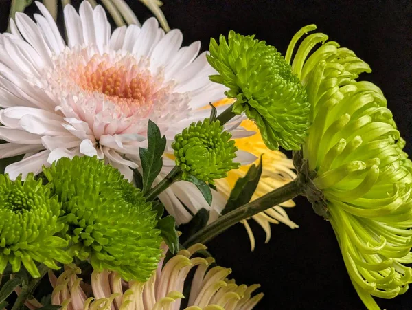 Arrangement of colorful flowers including white and green blooms
