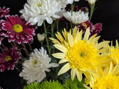 Sarı beyaz ve mor çiçekleri de içeren renkli çiçekler.