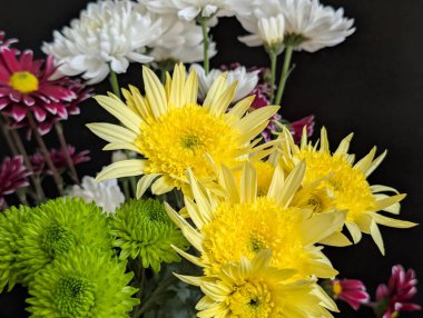 Renkli çiçekler güzel bir bukette birlikte dizilmişler.