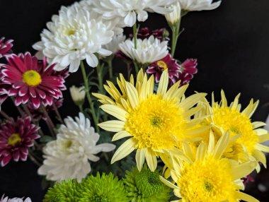 Koyu arkaplanda düzenlenmiş renkli çiçekler