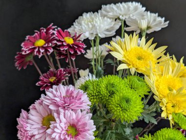 Koyu arkaplanda güzel dizilmiş renkli çiçekler.