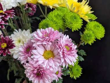 Pembe beyaz, sarı, yeşil kasımpatılar da dahil olmak üzere renkli çiçekler.