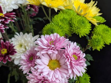 Koyu arkaplanda düzenlenmiş renkli çiçekler