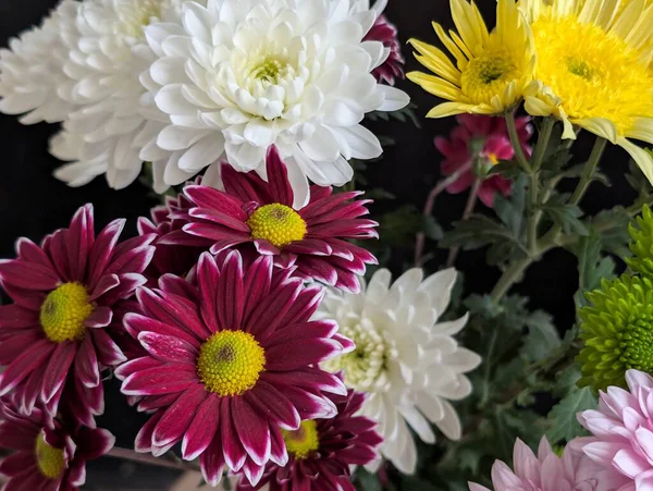 Beyaz sarı ve mor kasımpatılar içeren renkli çiçekler