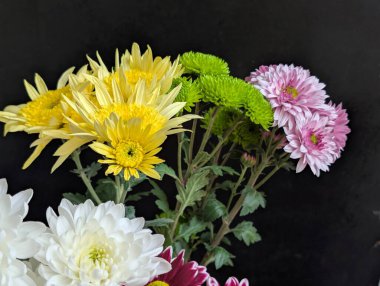 Koyu arkaplanda güzel dizilmiş renkli çiçekler.