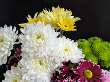 Beyaz sarı yeşil mor da dahil olmak üzere renkli çiçeklerin düzenlenmesi