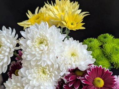 Beyaz sarı yeşil ve mor çiçekleri de içeren renkli çiçekler.