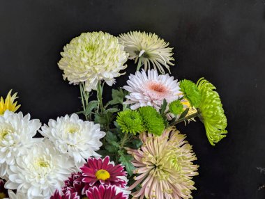 Koyu arkaplanda güzel dizilmiş renkli çiçekler.