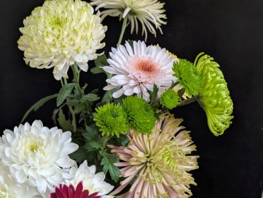 Siyah arkaplana karşı renkli çiçeklerin düzenlenmesi