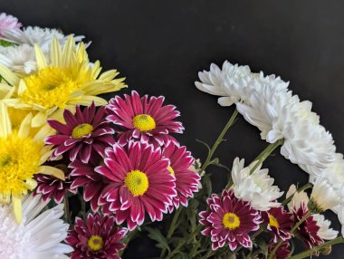 Koyu arkaplanda güzel dizilmiş renkli çiçekler.