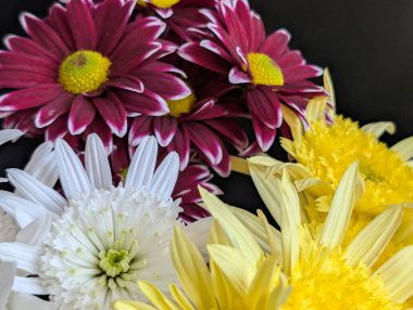 Koyu arkaplanda düzenlenmiş renkli çiçekler.