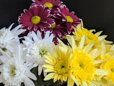 Renkli çiçekler güzel bir bukette birlikte dizilmişler.