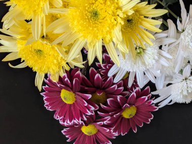 Koyu arkaplanda düzenlenmiş renkli çiçekler.