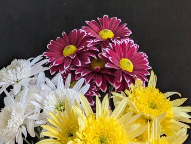 Koyu arkaplanda düzenlenmiş renkli çiçekler