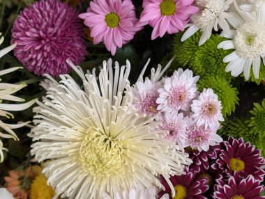 Güzel bir demet kasımpatı çiçeği, yakın plan - 