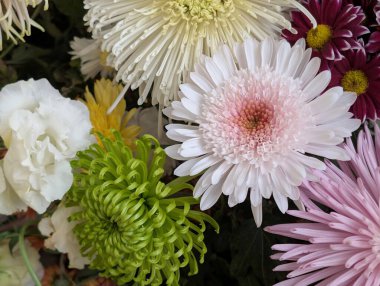 Güzel bir demet kasımpatı çiçeği, yakın plan - 