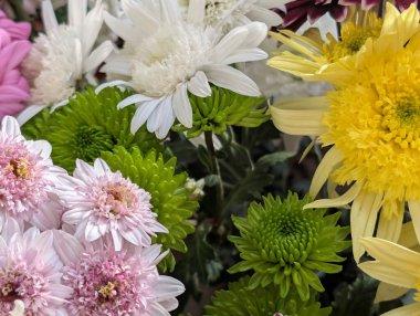 Güzel bir demet kasımpatı çiçeği, yakın plan - 