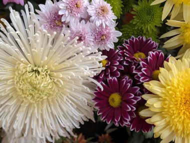 Güzel bir demet kasımpatı çiçeği, yakın plan - 