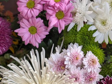 Güzel bir demet kasımpatı çiçeği, yakın plan - 