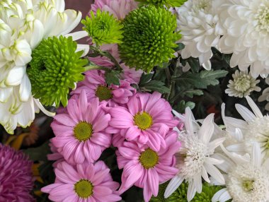 Güzel bir demet kasımpatı çiçeği, yakın plan - 