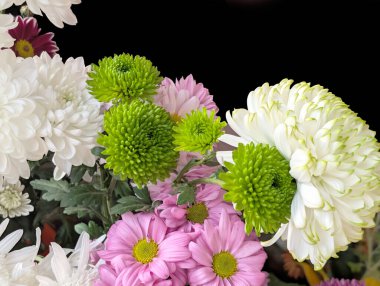 Güzel bir demet kasımpatı çiçeği, yakın plan - 