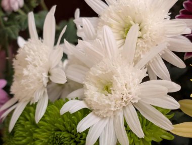 Güzel bir buket çiçeğe yakın, çiçek arkaplanı.           