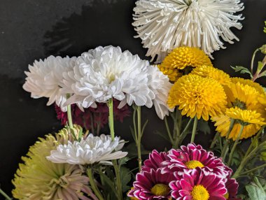 Güzel bir buket kasımpatı çiçeği. Çiçek konsepti.           