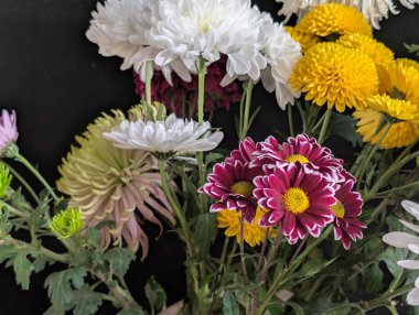 Güzel bir buket kasımpatı çiçeği. Çiçek konsepti.           