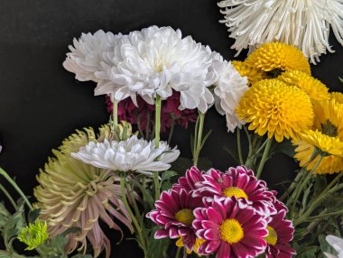 Kasımpatı çiçekleri kapatın, doğa duvar kağıtları         