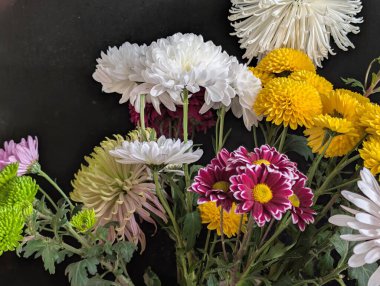 Güzel bir buket kasımpatı çiçeği. Çiçek konsepti.           