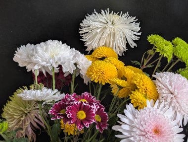 Güzel bir buket kasımpatı çiçeği. Çiçek konsepti.           