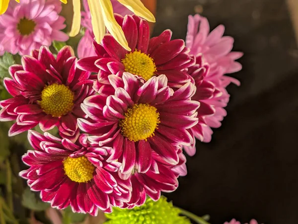 Koyu arkaplanda güzel bir buket çiçek, yakın çekim manzarası.             