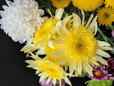 Güzel bir buket kasımpatı çiçeği. Çiçek konsepti.           