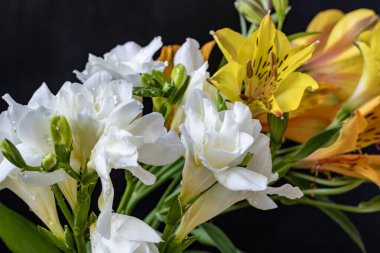 Koyu arkaplanda güzel bir buket çiçek, yakın çekim manzarası.             