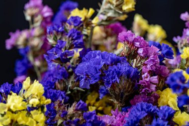 Koyu arkaplanda güzel bir buket çiçek, yakın çekim manzarası.             