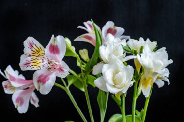 Koyu arkaplanda güzel bir buket çiçek, yakın çekim manzarası.             