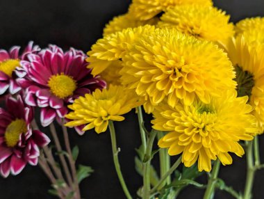 Koyu arkaplanda düzenlenmiş canlı sarı ve mor çiçekler.