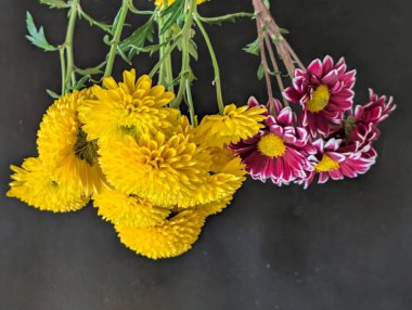 Koyu arkaplanda asılı sarı ve mor çiçekler