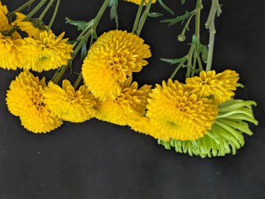 Koyu arkaplanda güzel çiçeklerin manzarasını kapat, doğal duvar kağıdı        