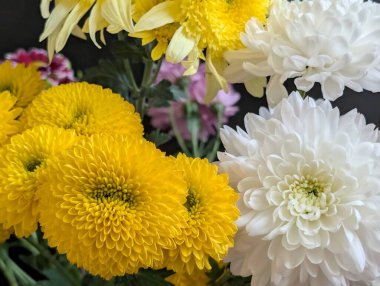 Parlak sarı ve beyaz çiçekler bukette düzenlenir.