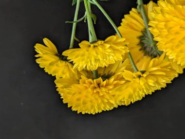 Koyu arkaplanda güzel çiçeklerin manzarasını kapat, doğal duvar kağıdı        