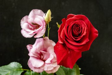 Koyu arkaplanda güzel çiçeklerin manzarasını kapat, doğal duvar kağıdı        