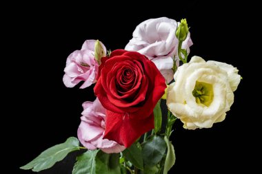 Kırmızı gül buketi ve siyah arka planda Eustoma çiçekleri.