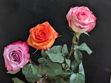 Güzel, narin çiçeklerin, doğal duvar kağıtlarının manzarasını kapat.       