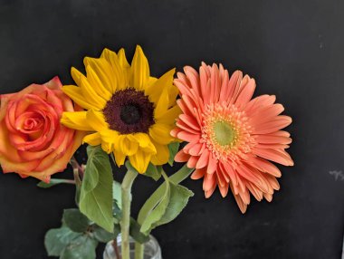 Koyu arkaplanda güzel, taze çiçeklerin manzarasını kapat